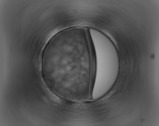 X0000091541083200708241728
