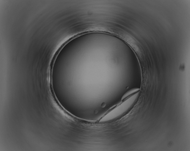 X0000091541084200708241728