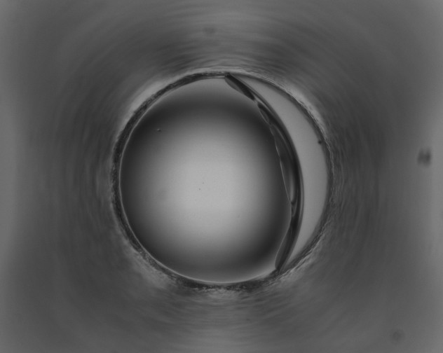 X0000091541085200708241728