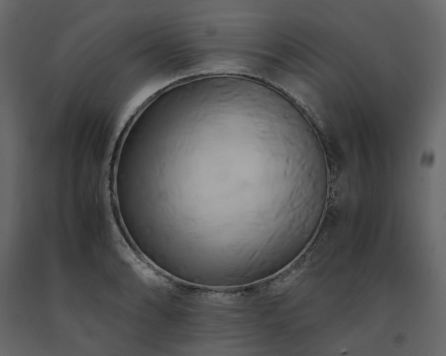 X0000091541086200708241728