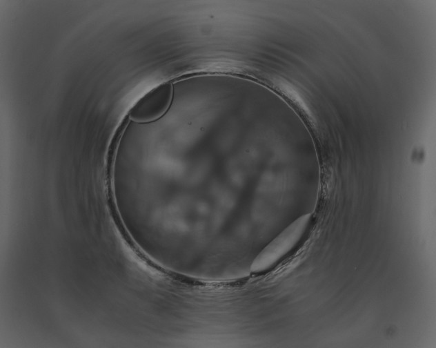X0000091541087200708241728