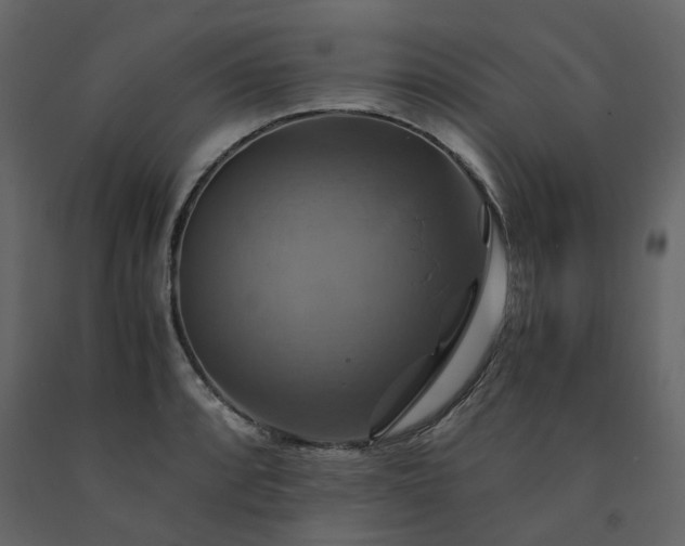 X0000091541088200708241728