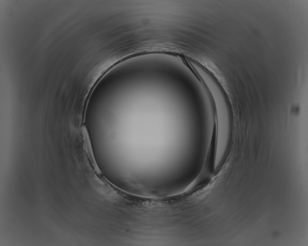 X0000091541089200708241728