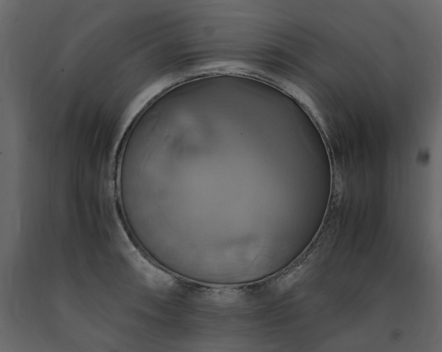 X0000091541090200708241728