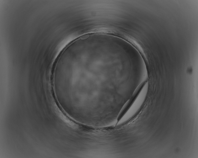 X0000091541091200708241728
