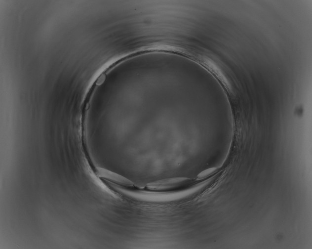 X0000091541092200708241728
