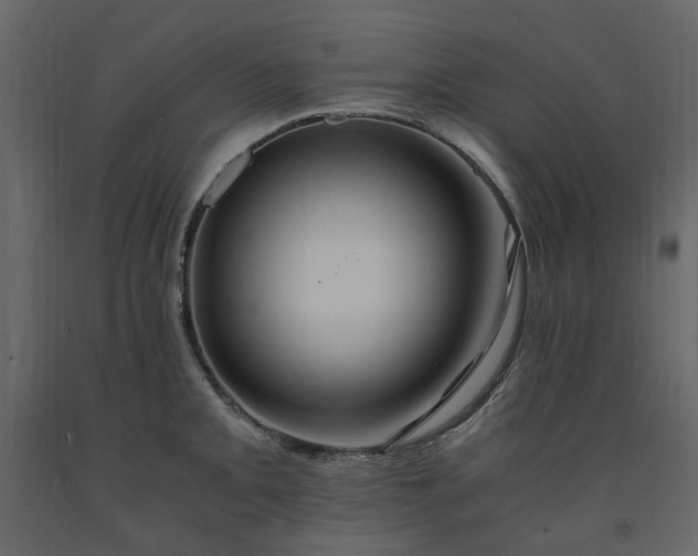 X0000091541093200708241728