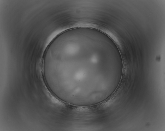 X0000091541094200708241728