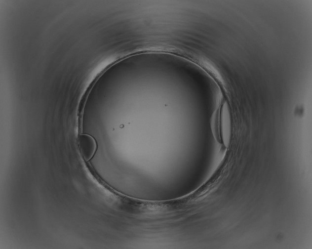 X0000091541095200708241728
