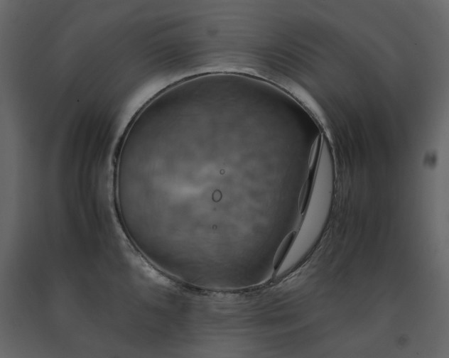 X0000091541096200708241728