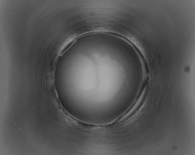 X0000091541097200708241728