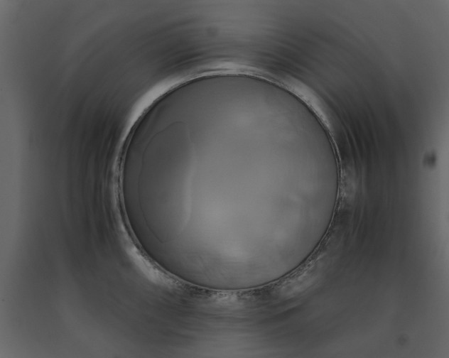 X0000091541098200708241728