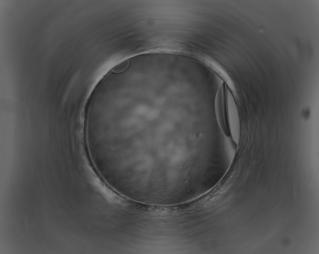 X0000091541099200708241728