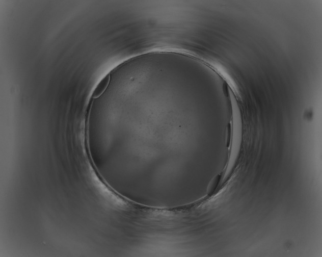 X0000091541100200708241728