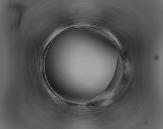 X0000091541101200708241728