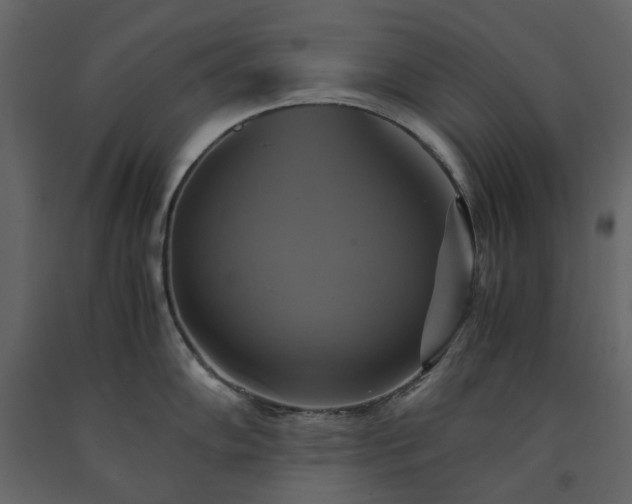 X0000091541102200708241728