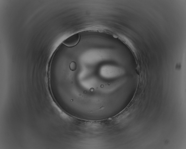 X0000091541103200708241728
