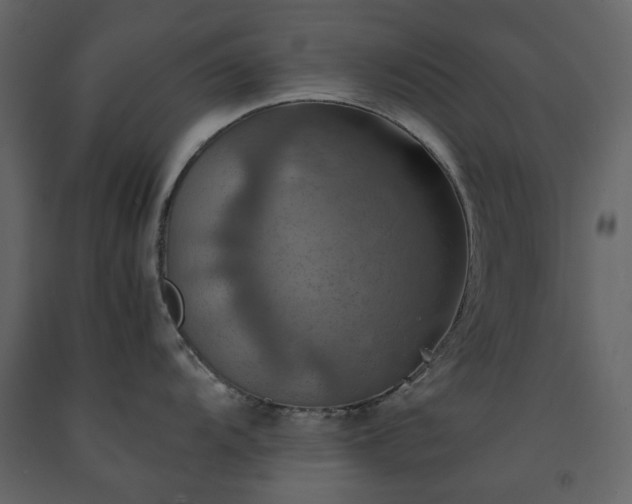 X0000091541104200708241728
