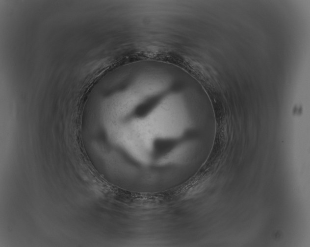 X0000091541105200708241727