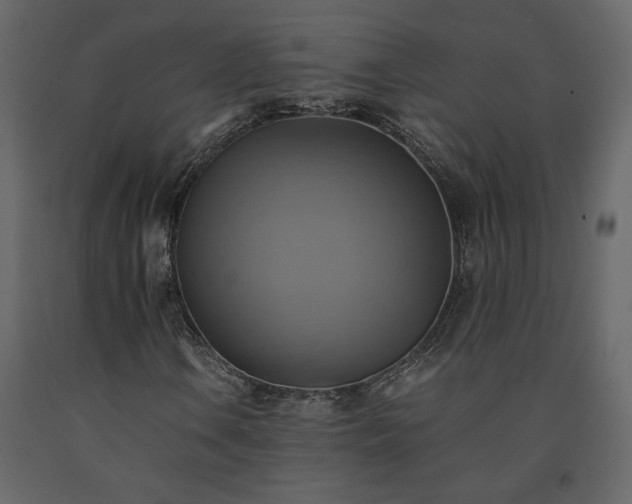 X0000091541106200708241727