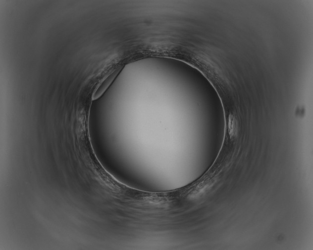 X0000091541107200708241727