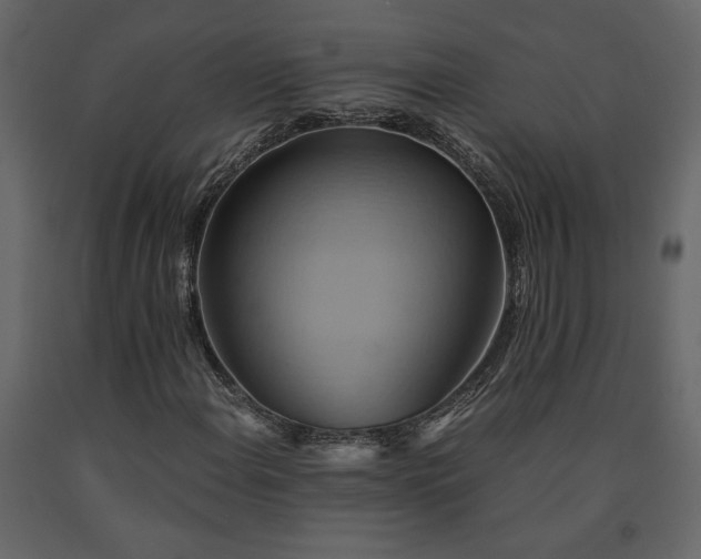 X0000091541108200708241727