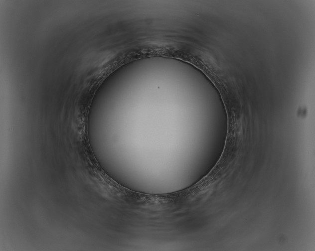 X0000091541109200708241727