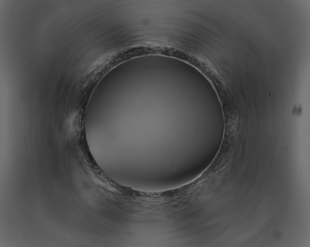 X0000091541110200708241727