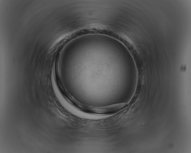 X0000091541112200708241727