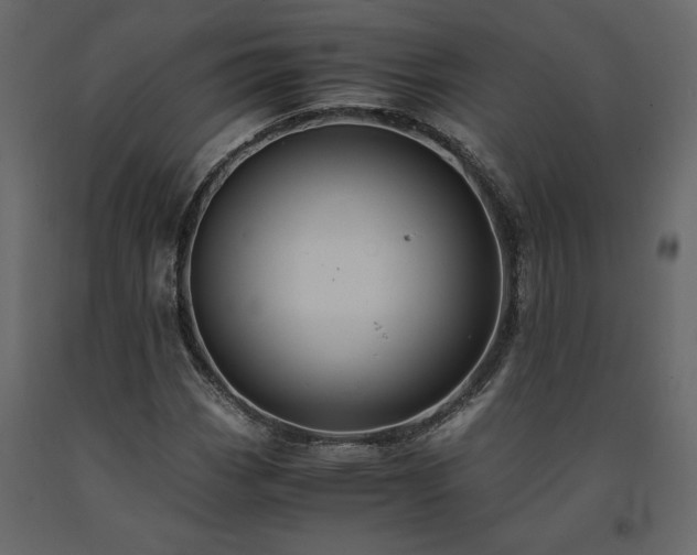 X0000091541113200708241727