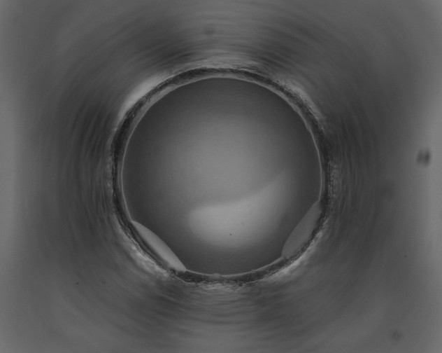 X0000091541114200708241727