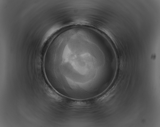 X0000091541115200708241727