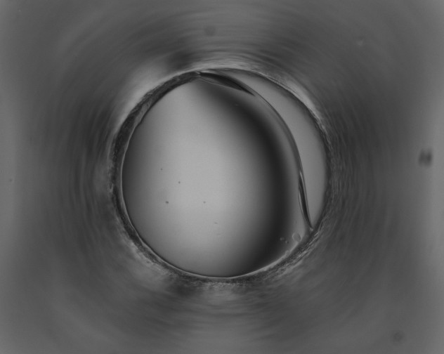 X0000091541116200708241727