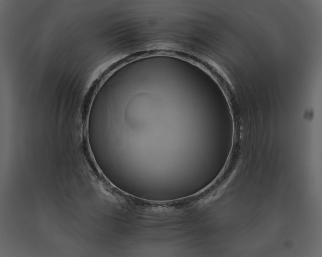 X0000091541117200708241727