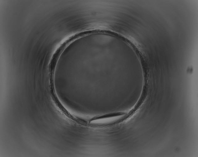 X0000091541118200708241727
