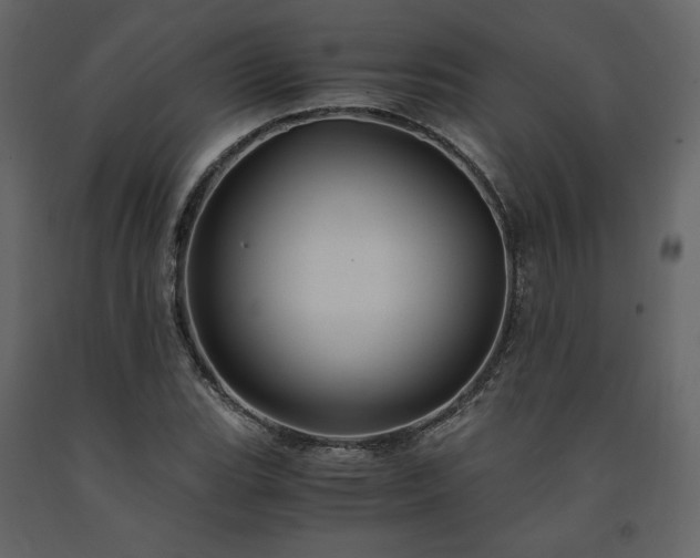 X0000091541119200708241727