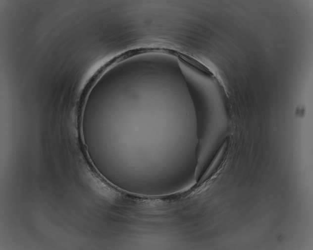 X0000091541120200708241727
