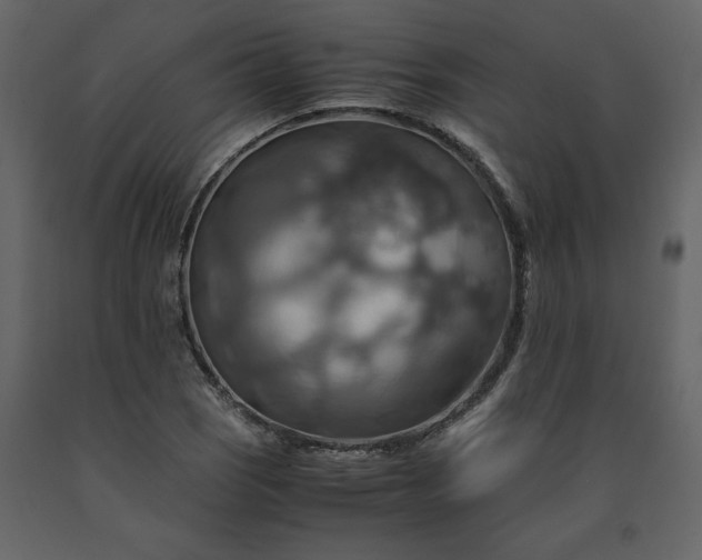 X0000091541121200708241727