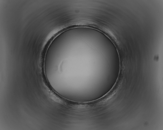 X0000091541122200708241727