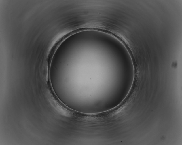 X0000091541123200708241727