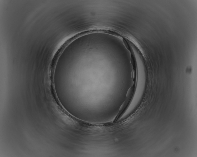 X0000091541124200708241727