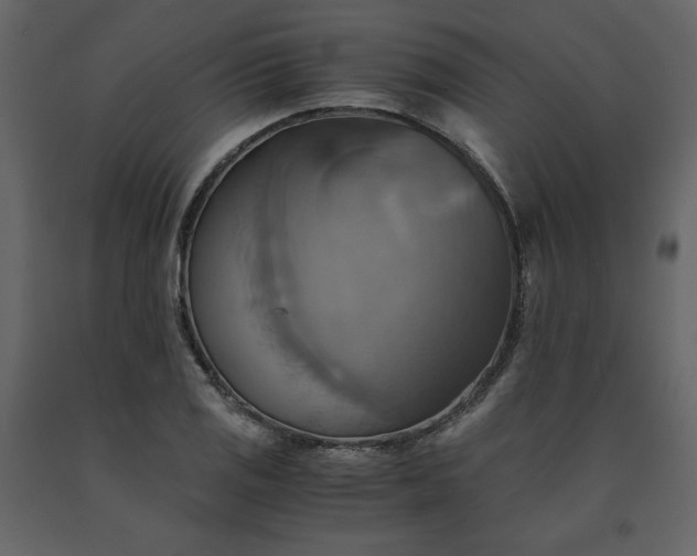 X0000091541125200708241727