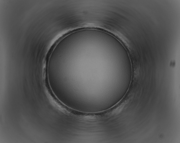 X0000091541126200708241727