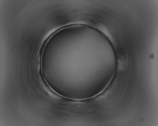 X0000091541127200708241727