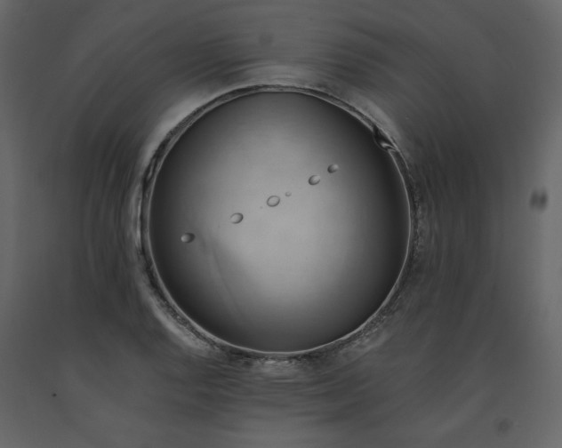 X0000091541128200708241727