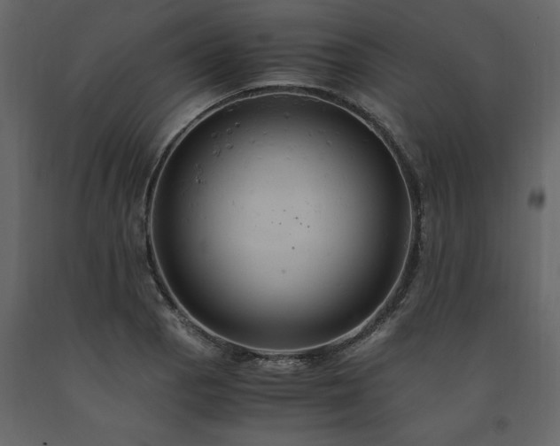 X0000091541129200708241727