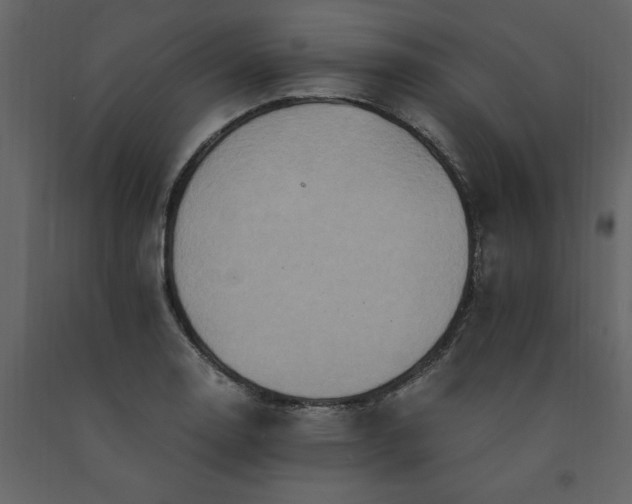 X0000091541130200708241728