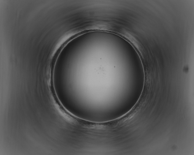 X0000091541131200708241728