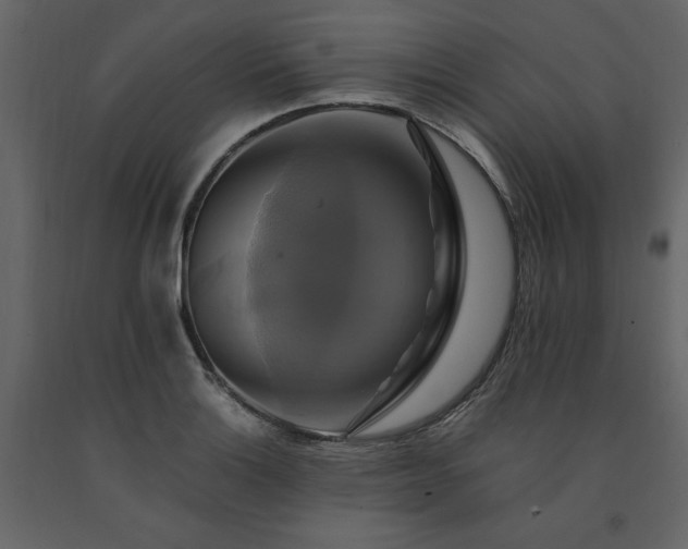 X0000091541132200708241728