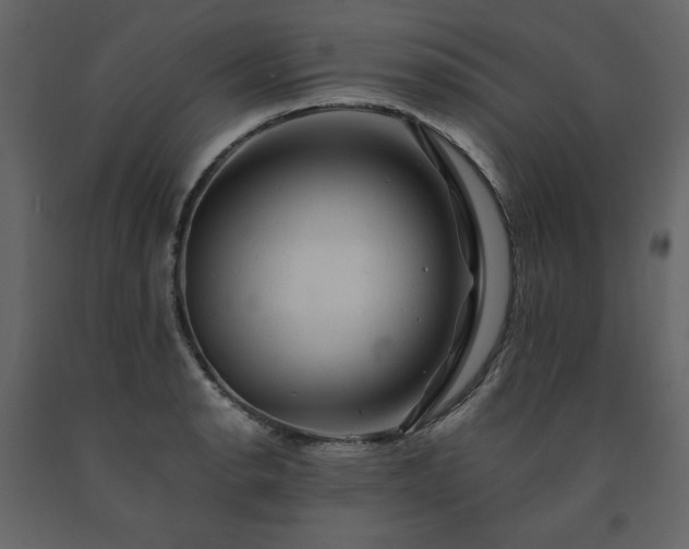 X0000091541134200708241728